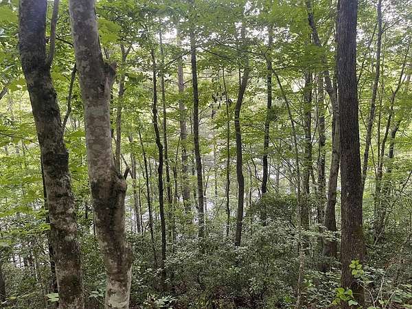 11.8 Acres of Land for Sale in Tuckasegee, North Carolina