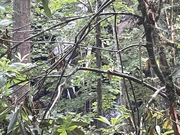 2.84 Acres of Land for Sale in Tuckasegee, North Carolina