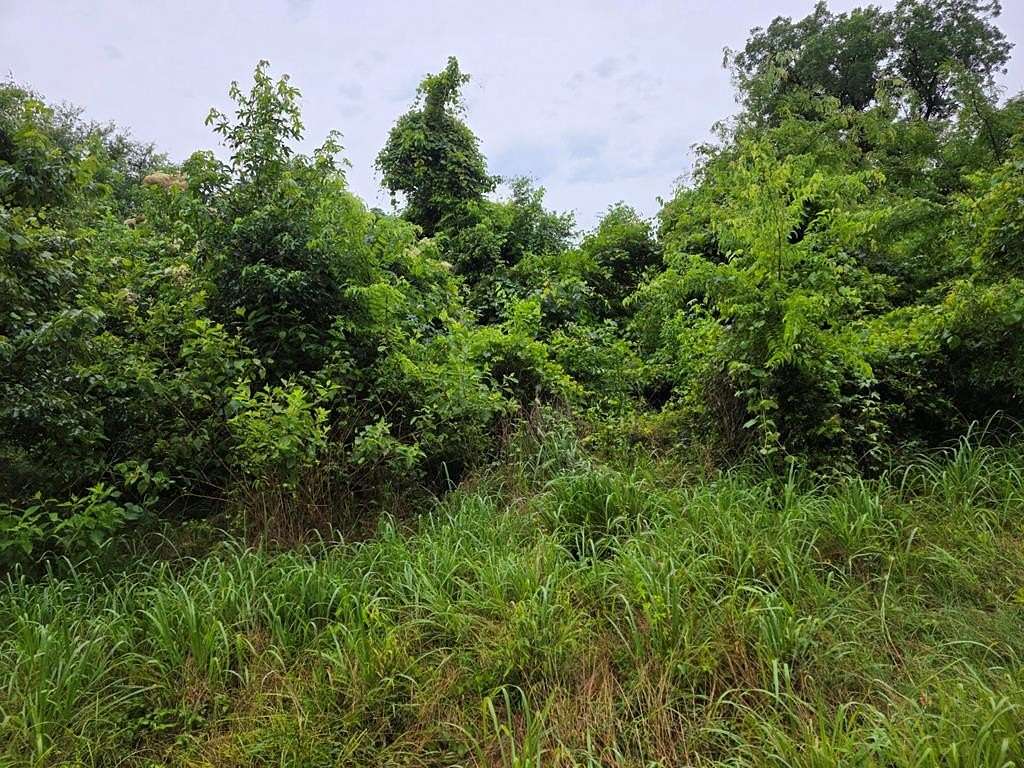 21 Acres of Land for Sale in Palestine, Texas