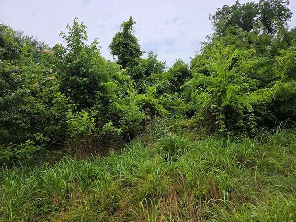 21 Acres of Land for Sale in Palestine, Texas