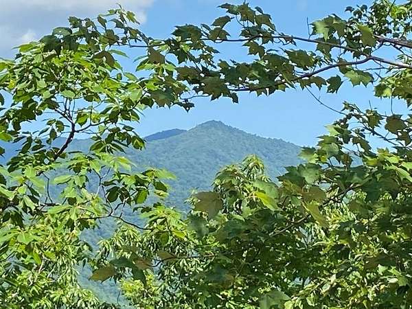 Residential Land for Sale in Andrews, North Carolina