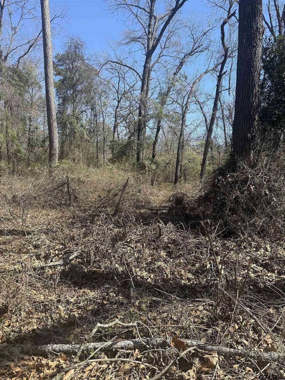0.6 Acres of Residential Land for Sale in Scroggins, Texas