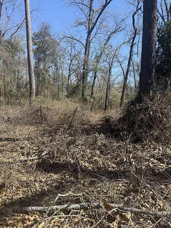 0.6 Acres of Residential Land for Sale in Scroggins, Texas