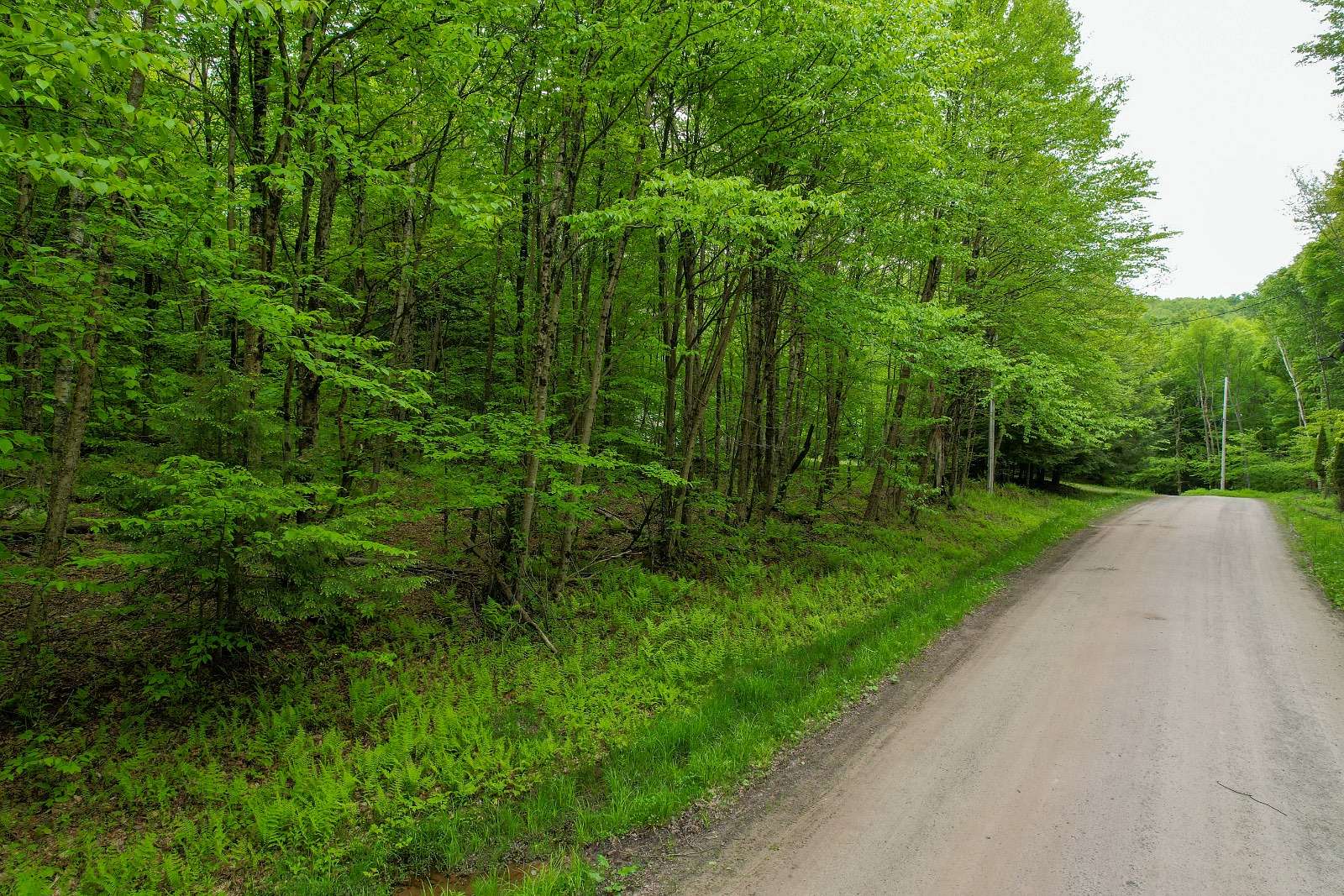 10 Acres of Recreational Land for Sale in Hancock, New York