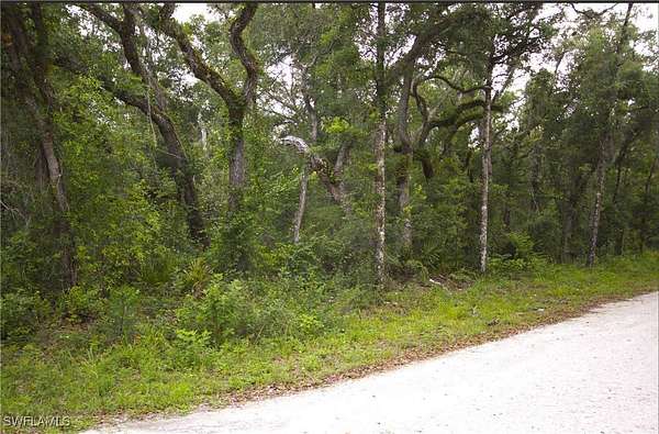 0.51 Acres of Land for Sale in Webster, Florida