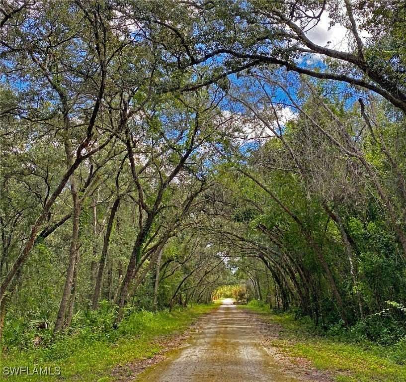 0.32 Acres of Land for Sale in Webster, Florida