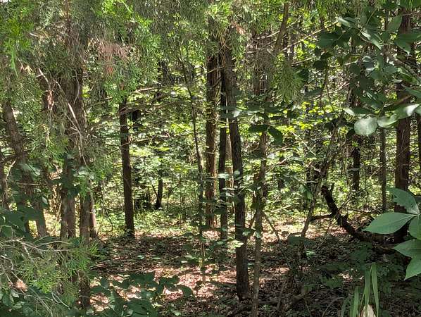 1 Acre of Residential Land for Sale in Shell Knob, Missouri