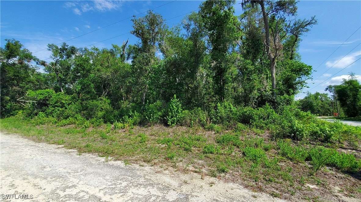 0.46 Acres of Land for Sale in Webster, Florida