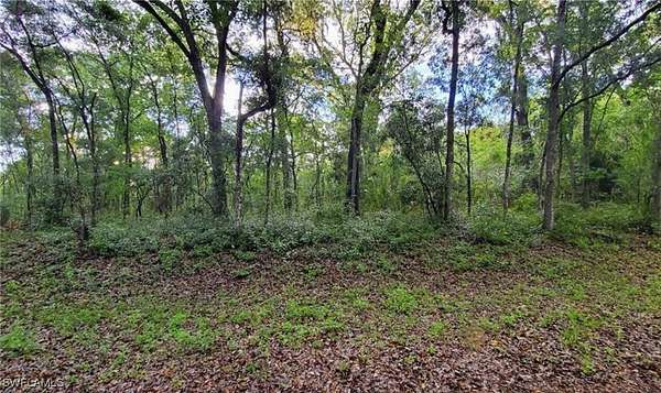 0.6 Acres of Land for Sale in Webster, Florida