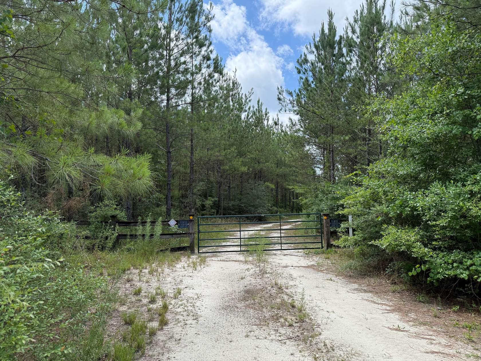329 Acres of Recreational Land for Sale in Sneads, Florida