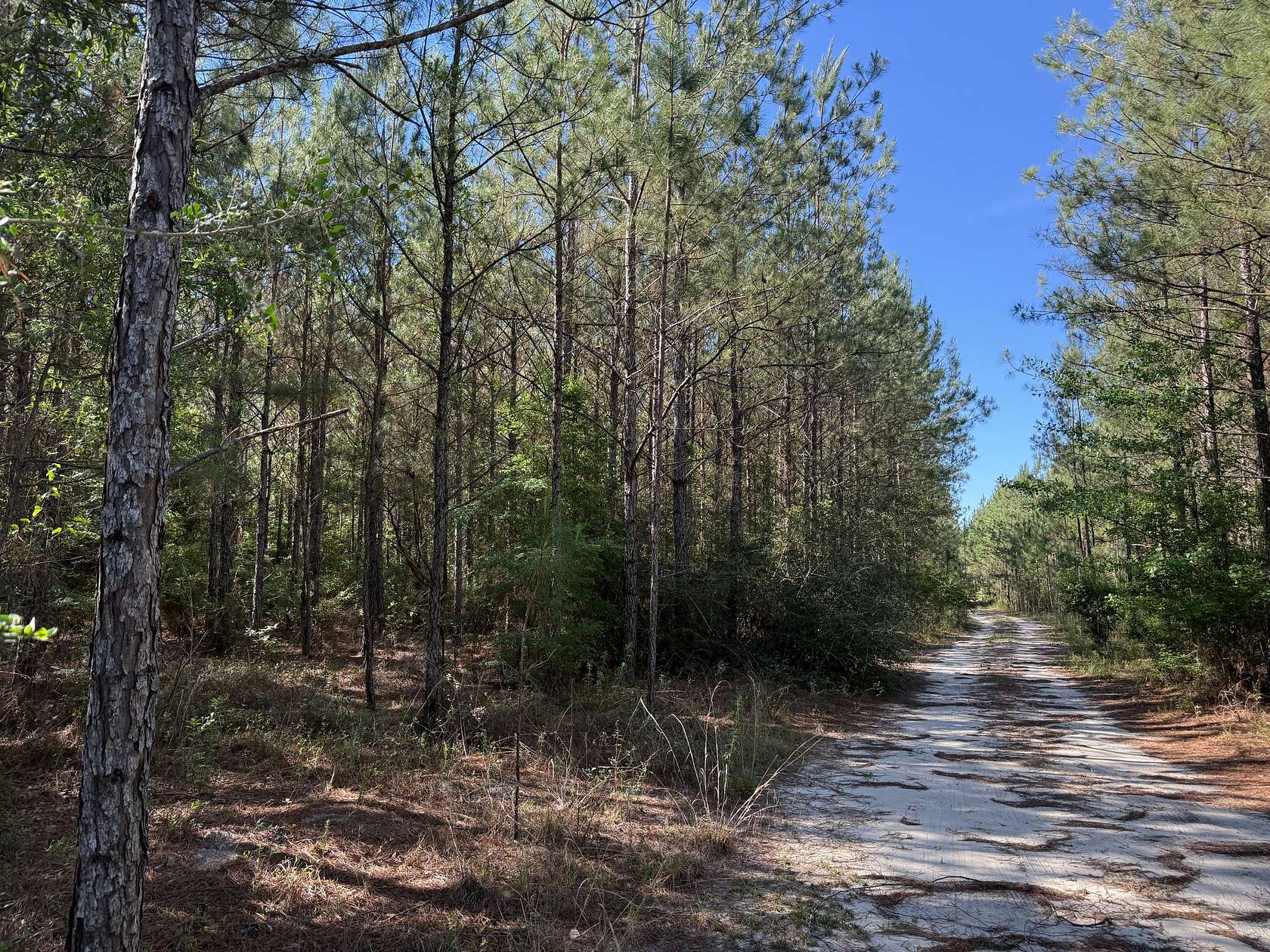 329 Acres of Recreational Land for Sale in Sneads, Florida