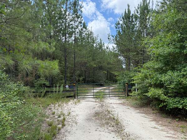 329 Acres of Recreational Land for Sale in Sneads, Florida