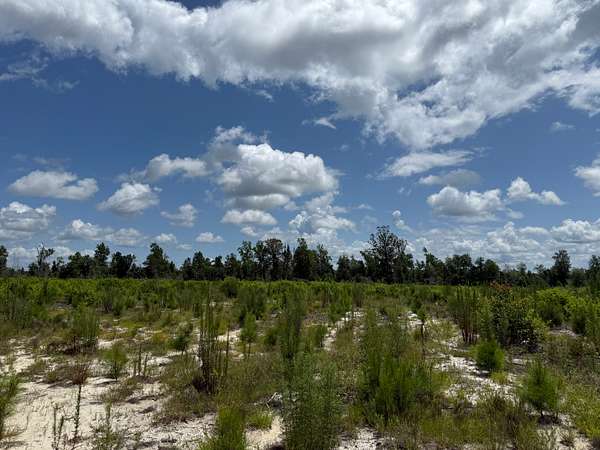 75.8 Acres of Recreational Land for Sale in Sneads, Florida