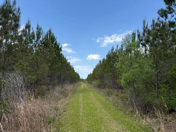 415 Acres of Recreational Land for Sale in Aarons Place, Florida