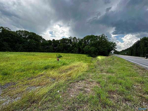 1 Acre of Commercial Land for Sale in Riverside, Alabama