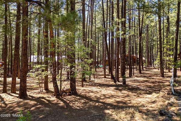 0.35 Acres of Residential Land for Sale in Pinetop, Arizona