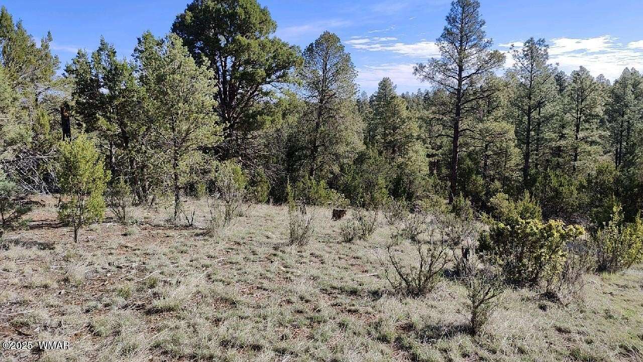 1.57 Acres of Residential Land for Sale in Overgaard, Arizona