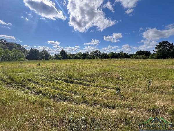 5.42 Acres of Land for Sale in Kilgore, Texas