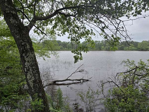 0.57 Acres of Residential Land for Sale in New Lisbon, Wisconsin