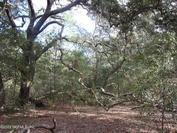 23.9 Acres of Recreational & Residential Land for Sale in Interlachen, Florida