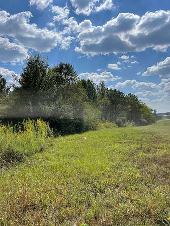 5 Acres of Residential Land for Sale in Gadsden, Alabama