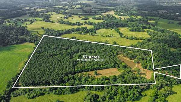 50 Acres of Recreational Land for Sale in Nacogdoches, Texas