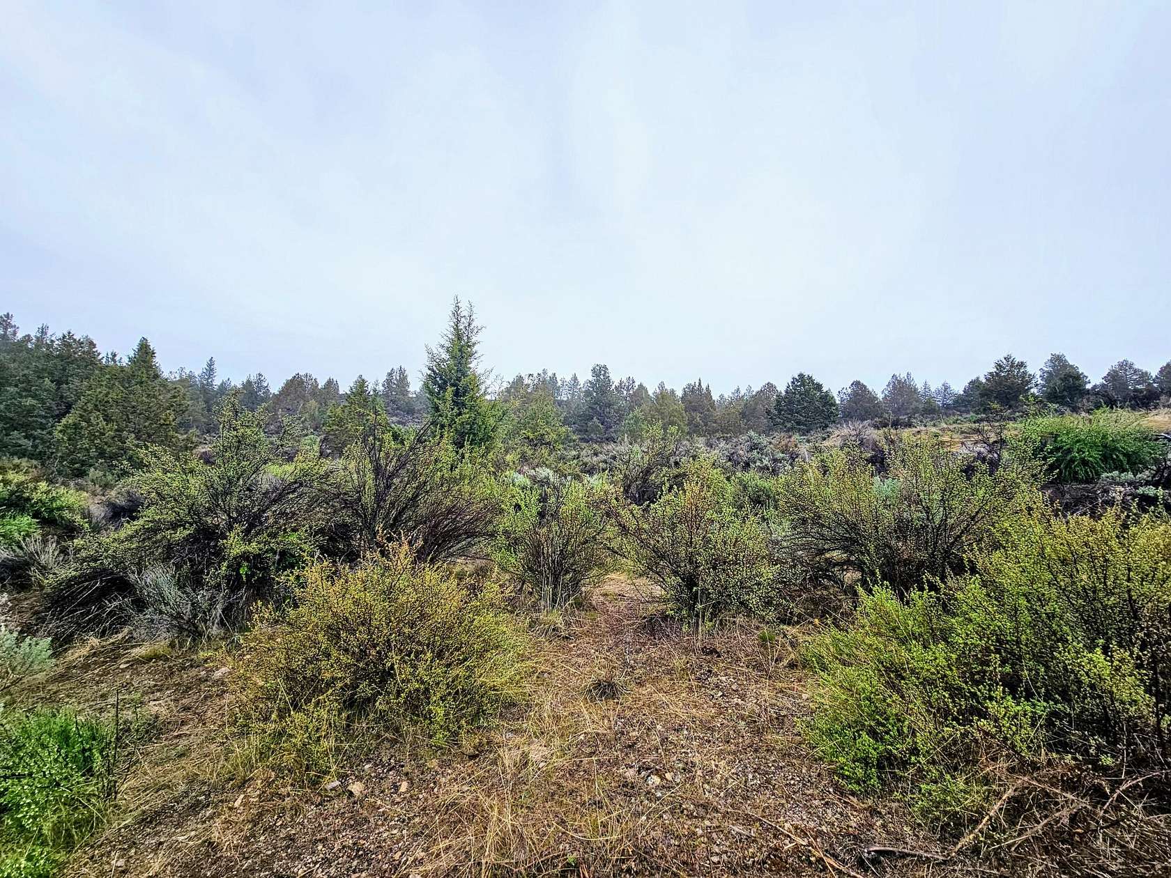 2.18 Acres of Residential Land for Sale in Sprague River, Oregon