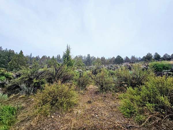 2.18 Acres of Residential Land for Sale in Sprague River, Oregon