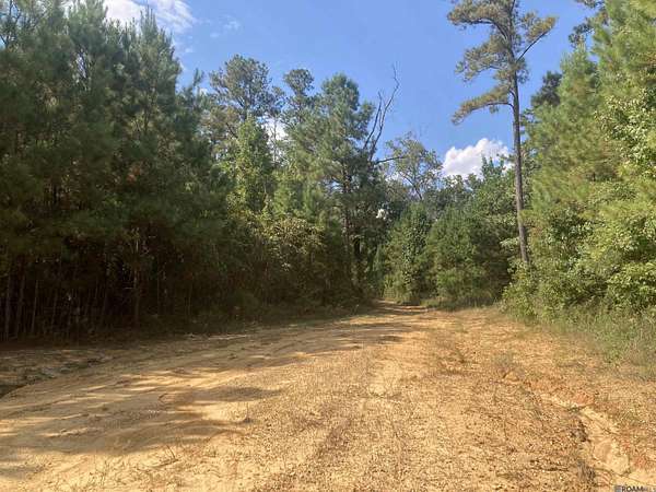 37.4 Acres of Land for Sale in Jackson, Louisiana