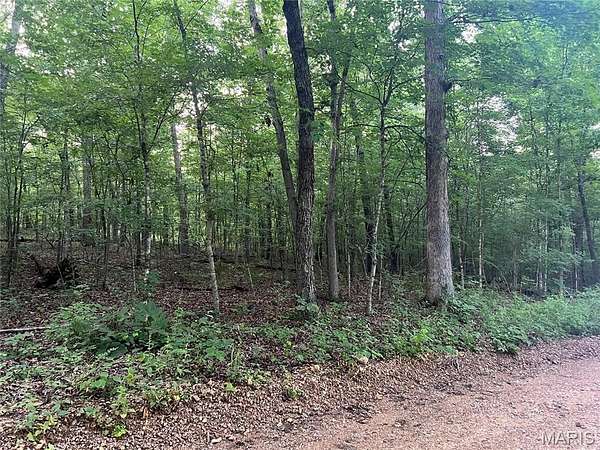 0.17 Acres of Land for Sale in Piedmont, Missouri