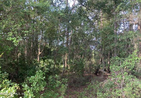0.44 Acres of Land for Sale in Interlachen, Florida