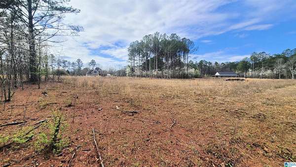 0.46 Acres of Residential Land for Sale in Harpersville, Alabama