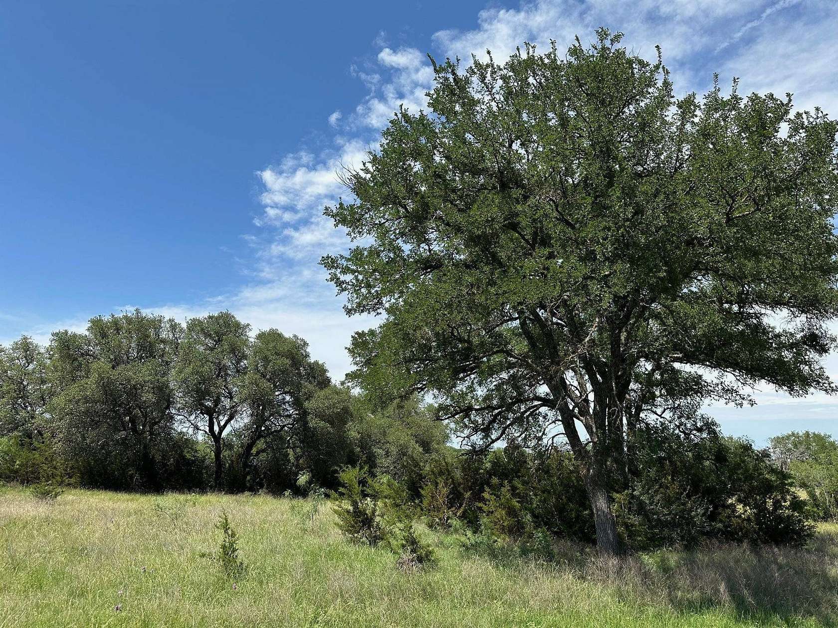45 Acres of Agricultural Land for Sale in Bertram, Texas
