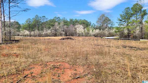 0.38 Acres of Residential Land for Sale in Harpersville, Alabama