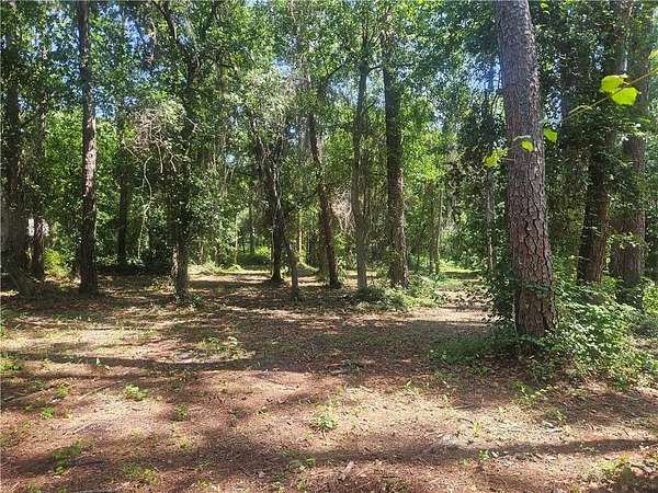 0.43 Acres of Residential Land for Sale in Dauphin Island, Alabama