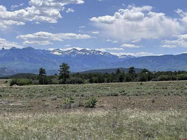 4 Acres of Residential Land for Sale in Ridgway, Colorado