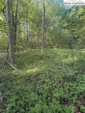 0.18 Acres of Residential Land for Sale in Creston, North Carolina