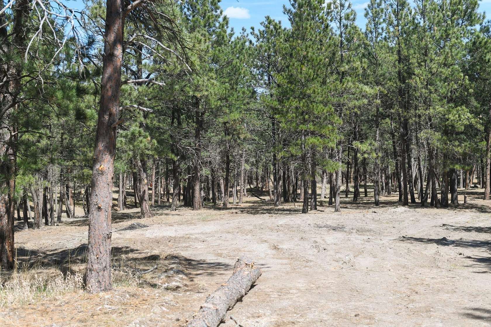1 Acre of Land for Sale in Belle Fourche, South Dakota