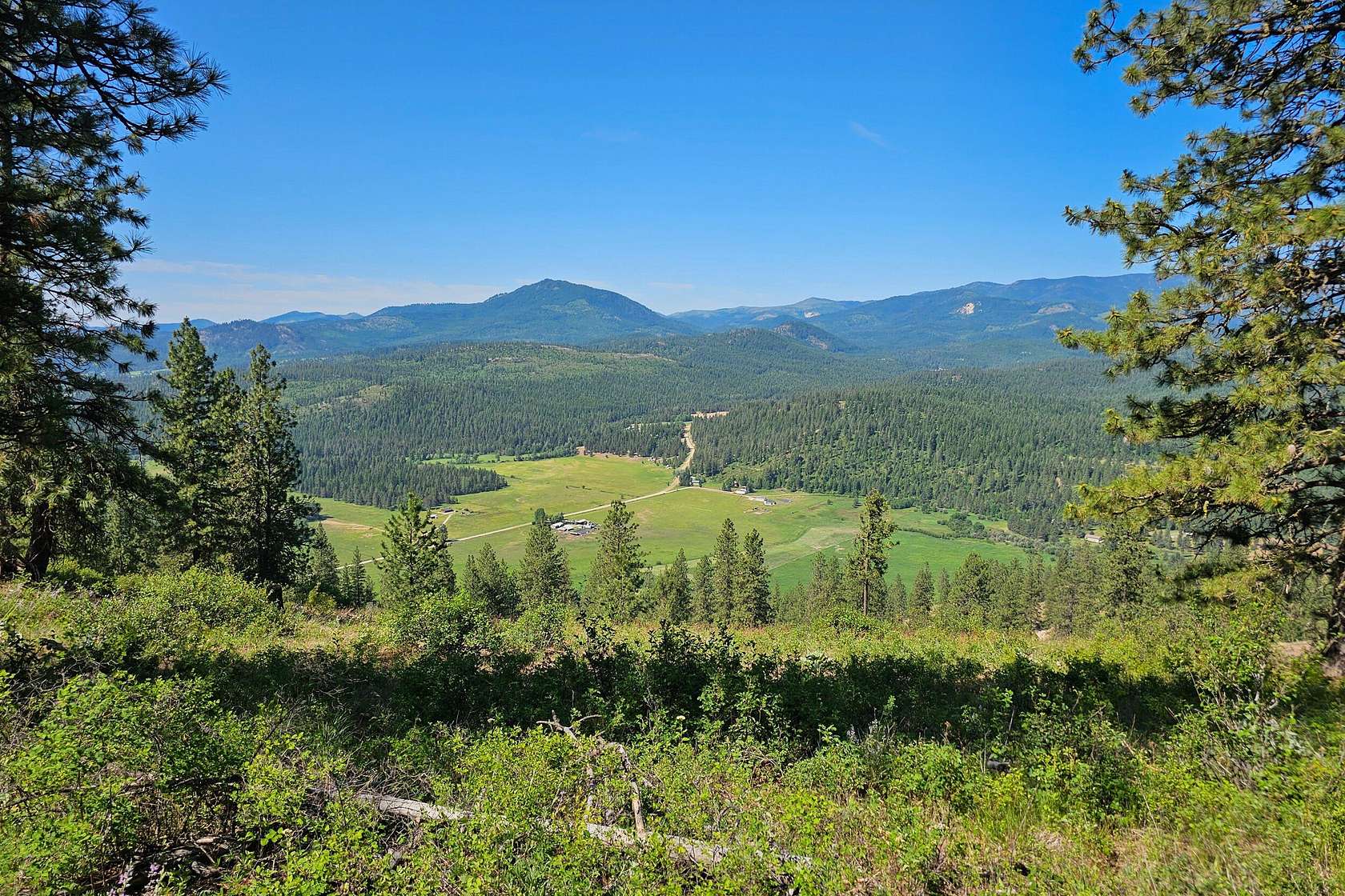 20 Acres of Land for Sale in Chewelah, Washington