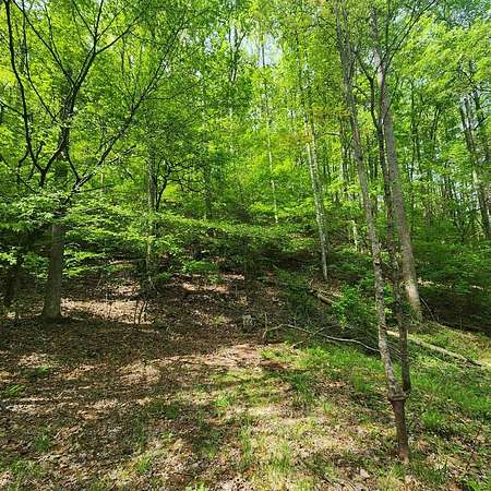 5.32 Acres of Residential Land for Sale in Franklin, North Carolina