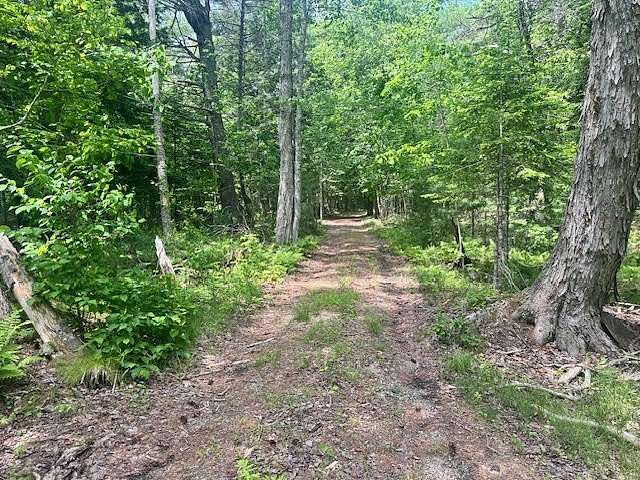 10.6 Acres of Land for Sale in Belfast, Maine