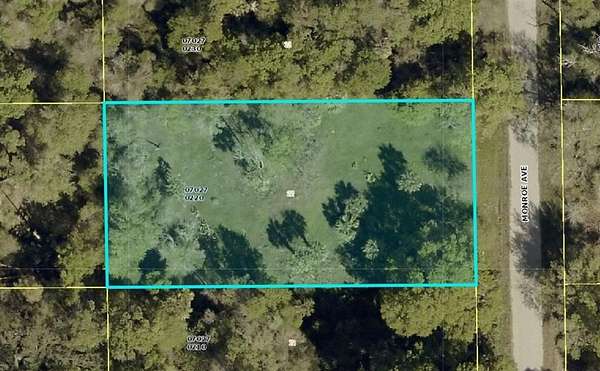 0.5 Acres of Residential Land for Sale in Lehigh Acres, Florida