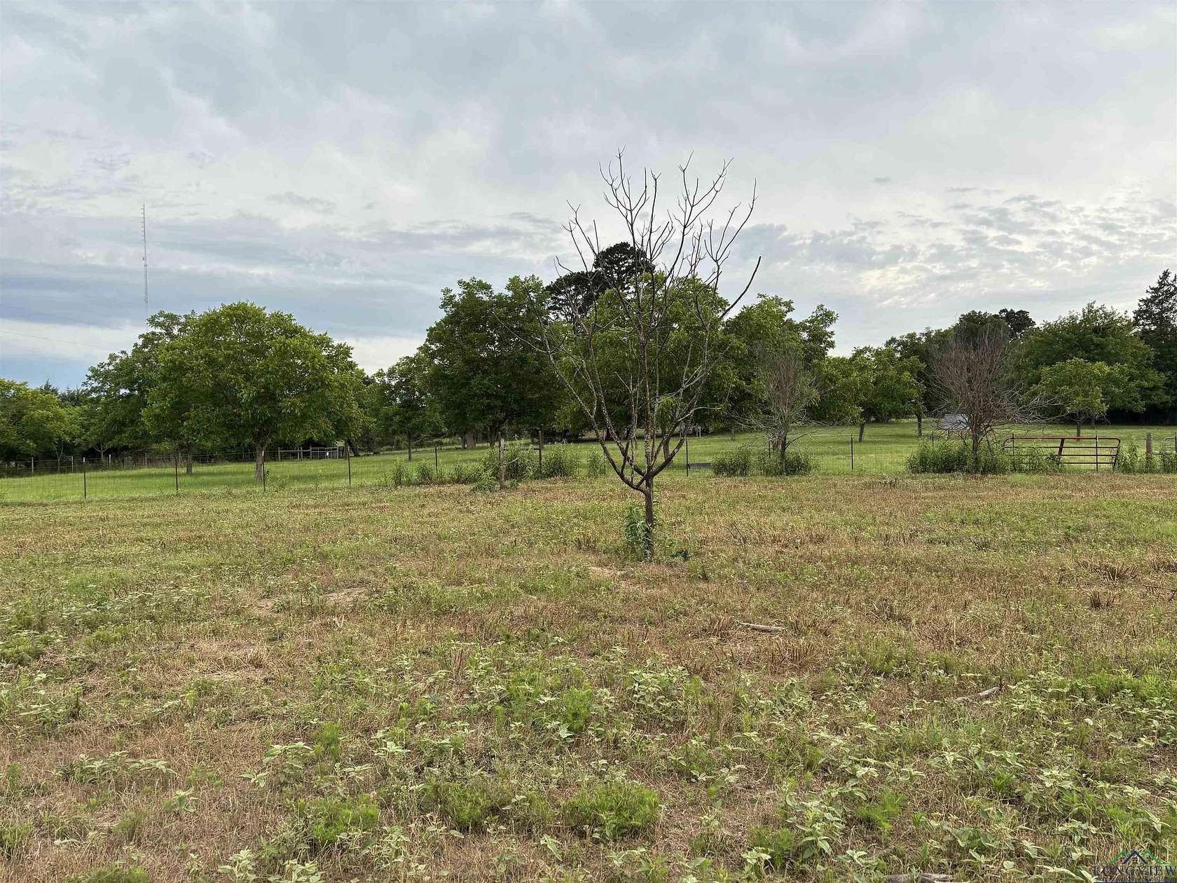 1 Acre of Land for Sale in Gilmer, Texas