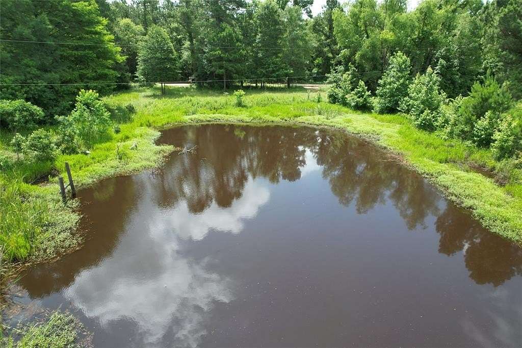 18.2 Acres of Recreational Land for Sale in Grapeland, Texas