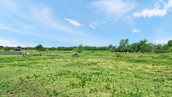 30 Acres of Land for Sale in Whitesboro, Texas