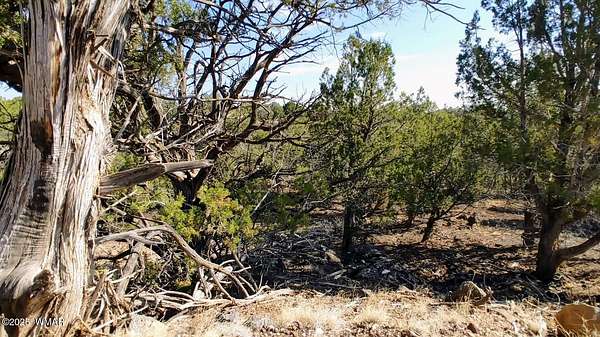0.23 Acres of Residential Land for Sale in Show Low, Arizona