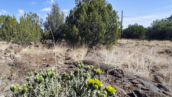 0.4 Acres of Residential Land for Sale in Show Low, Arizona