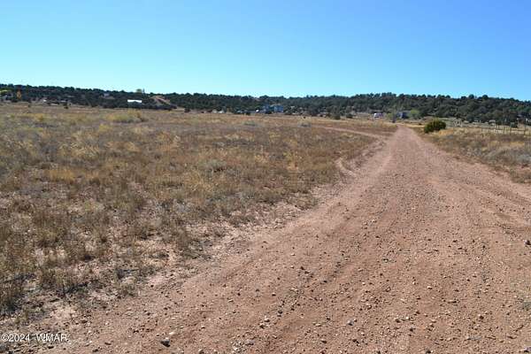 9.25 Acres of Residential Land for Sale in Taylor, Arizona