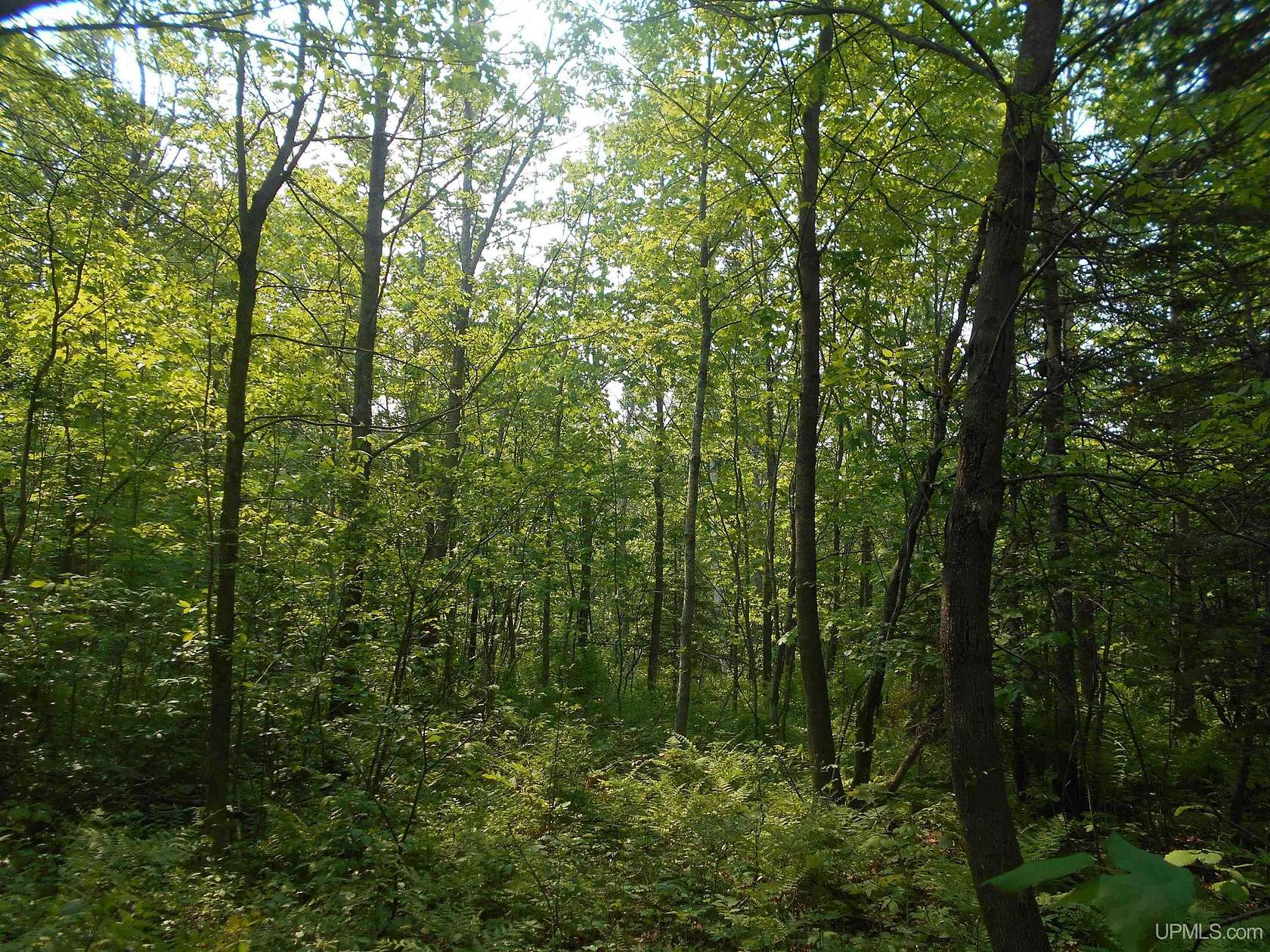 5 Acres of Residential Land for Sale in Hancock, Michigan