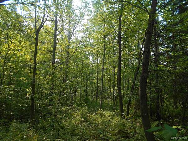 5 Acres of Residential Land for Sale in Hancock, Michigan